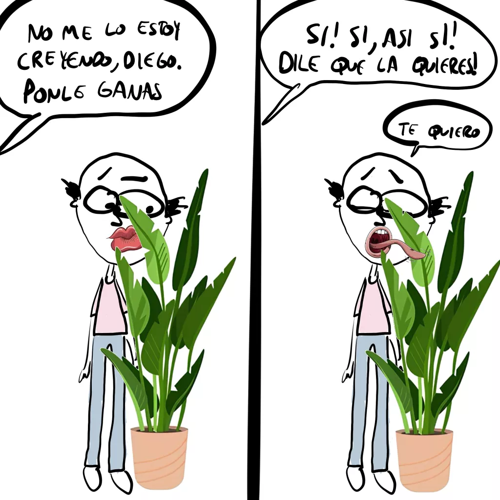 contenido